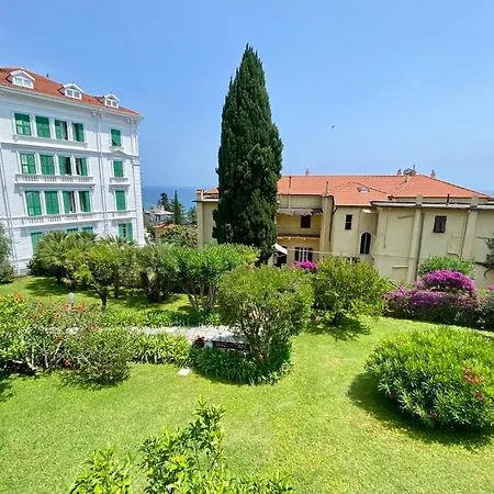Bouganville Sanremo