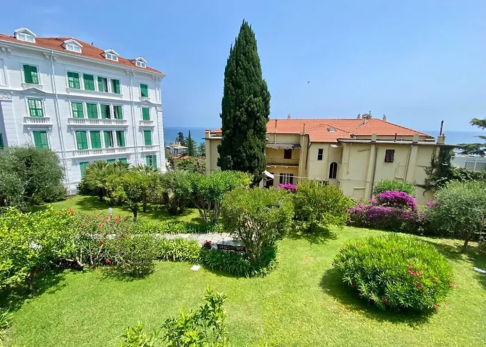 Bouganville Sanremo